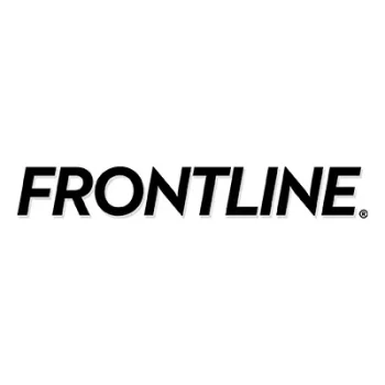 front-line