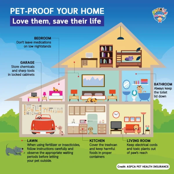 pet-proof-home-en