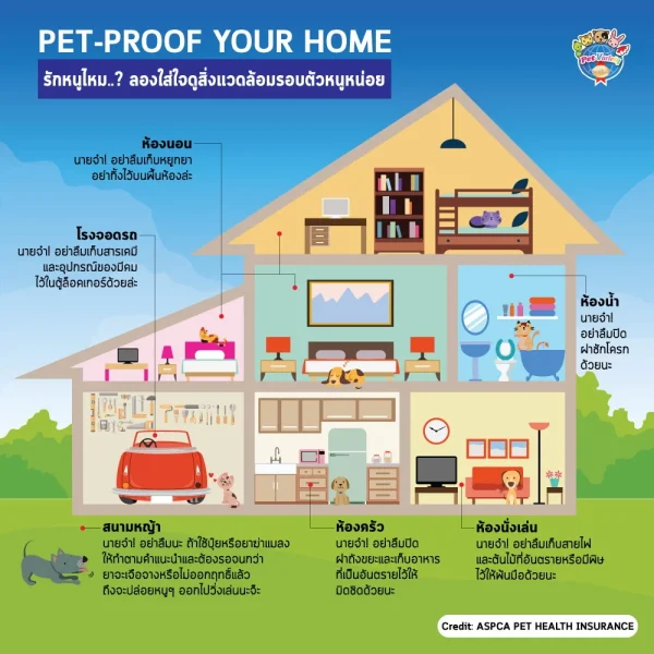 pet-proof-home-th