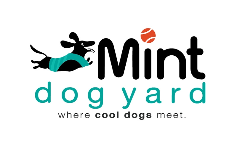mint-dogyard-featured-img