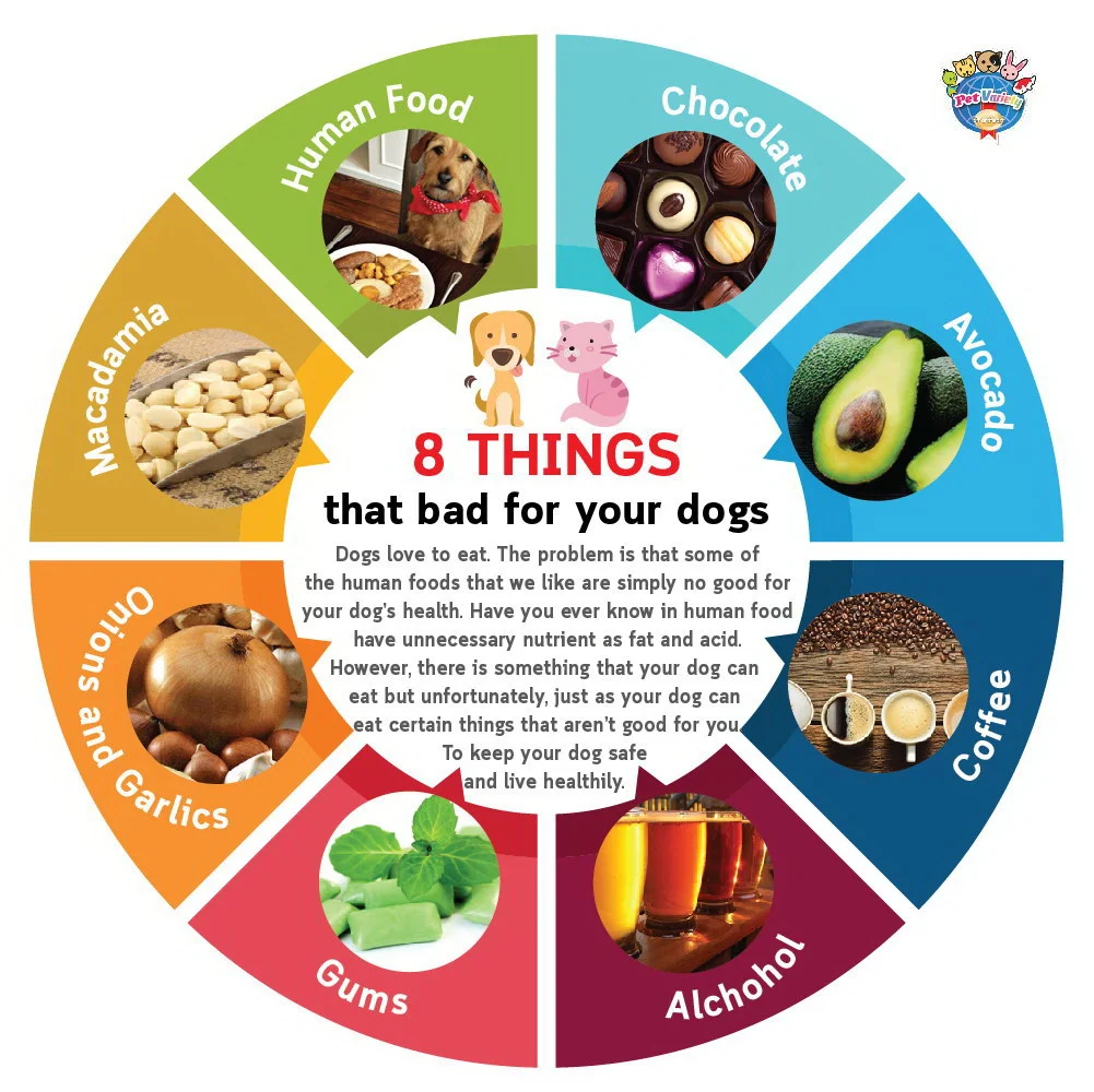 Why human food shop is bad for dogs