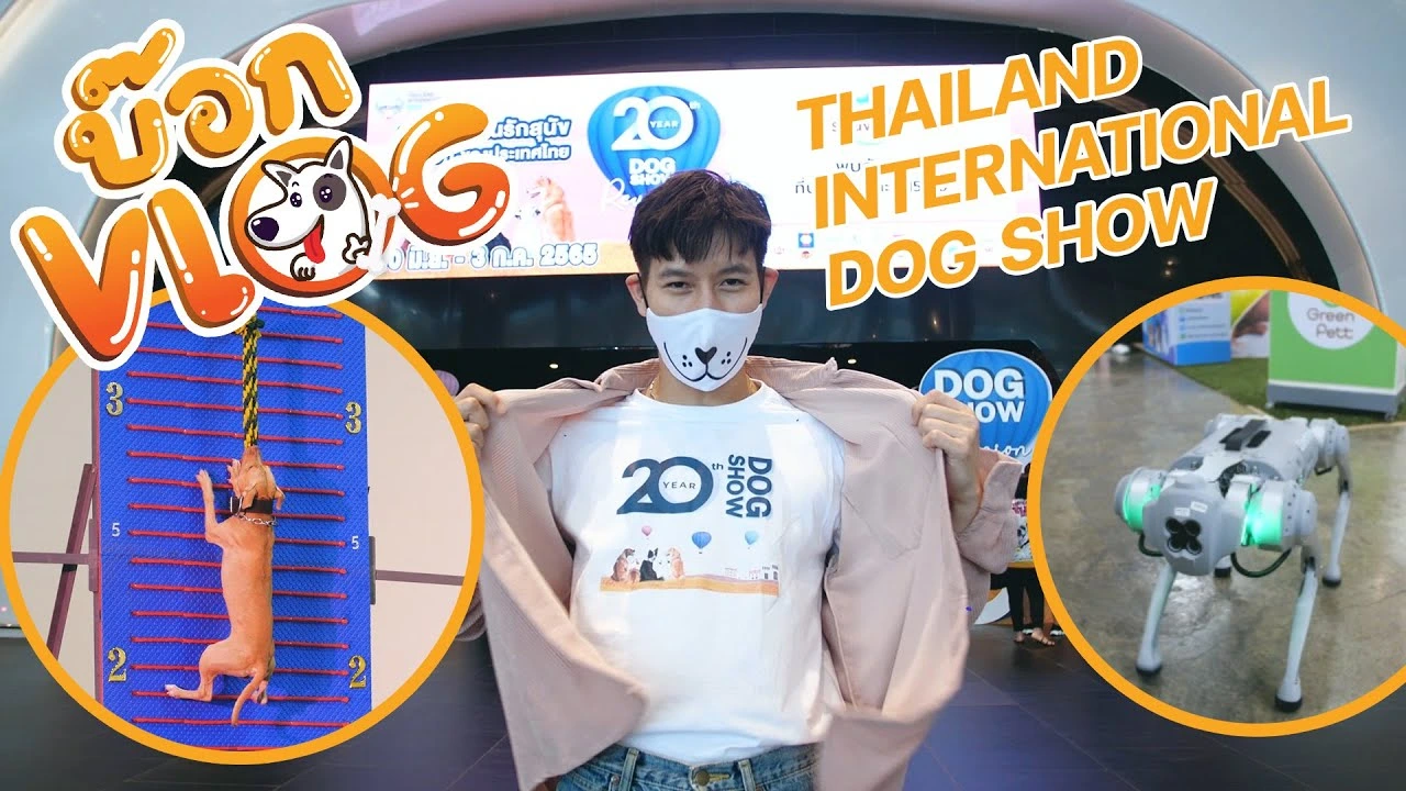 บ๊อกVlog EP.6 พาบุกงาน Thailand international dog show ครบ 20ปี | ยิ่งใหญ่ สมคำร่ำลือ