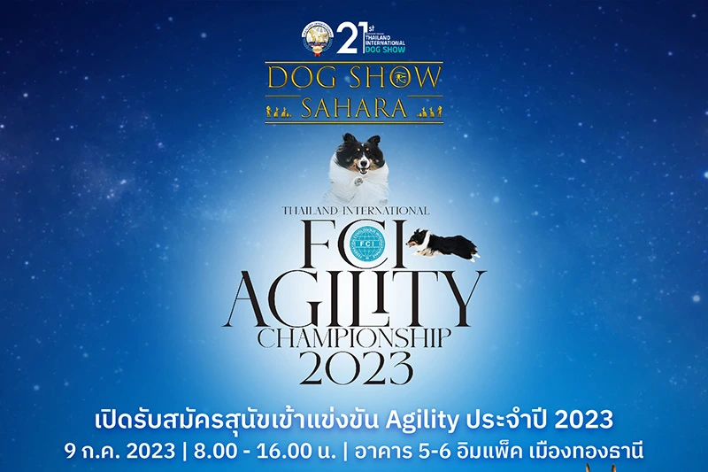 fci-agility-championship-feature-img