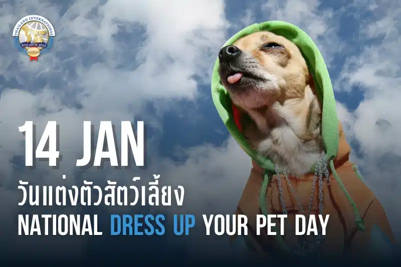 featured-img-dress-up-ur-pet-day