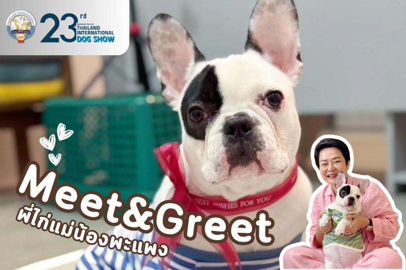 meet-n-greet-papang-featured-img