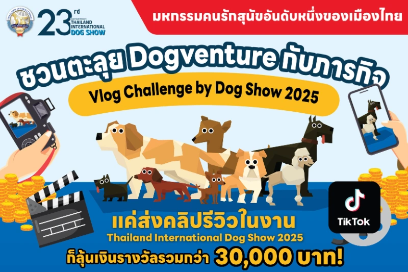 vlog-challenge2025-featured