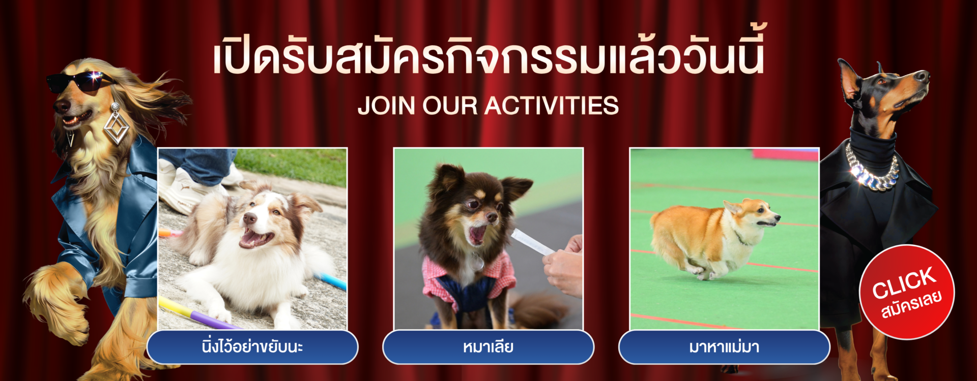 Activity 2026