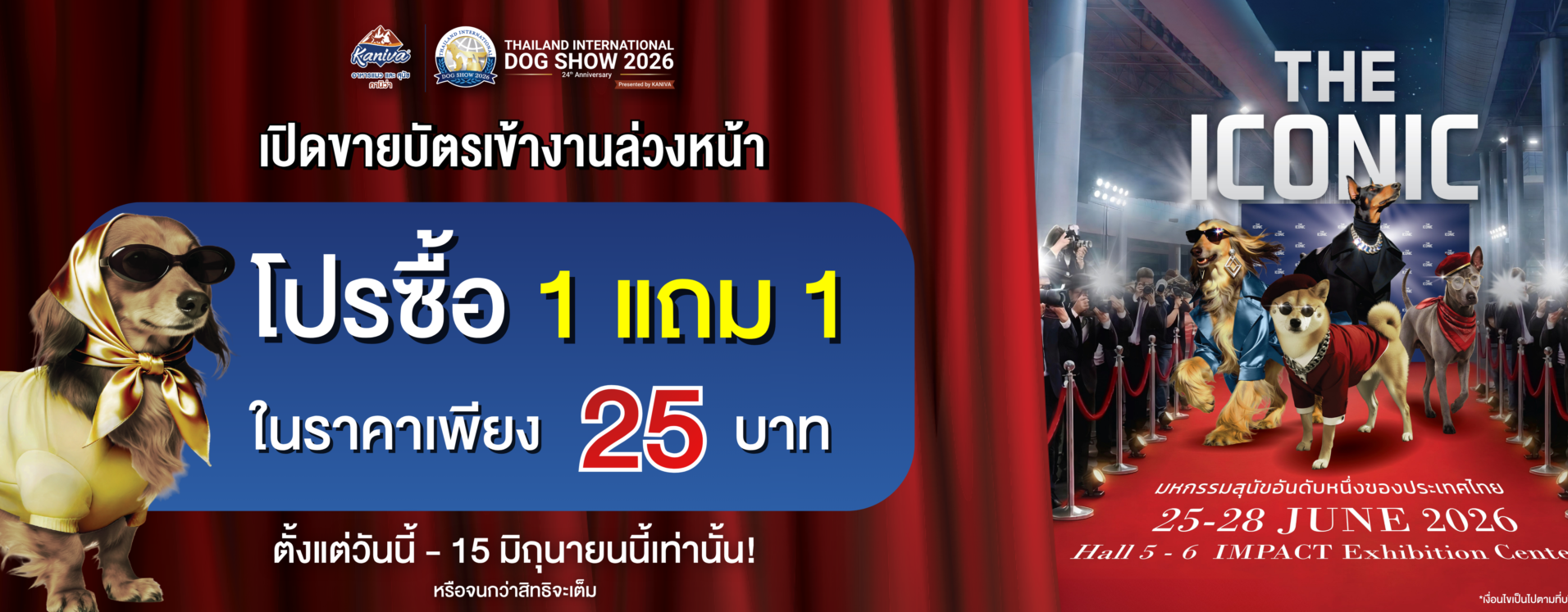 Banner-TH-2048x747