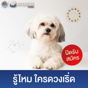 Dog Show 2026 - Website
