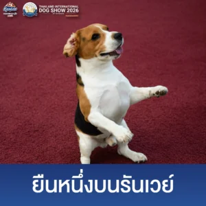 Dog Show 2026 - Website (3)_0