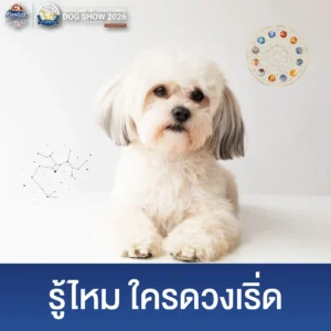Dog Show 2026 - Website (4)_0