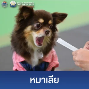 Dog Show 2026 - Website (5)_0